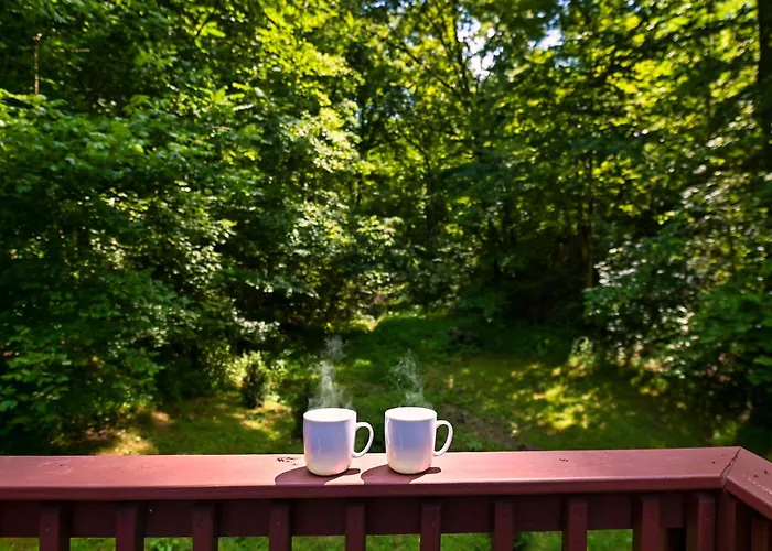 Smoky Mountains Hut Tub Cabin Dog Friendly