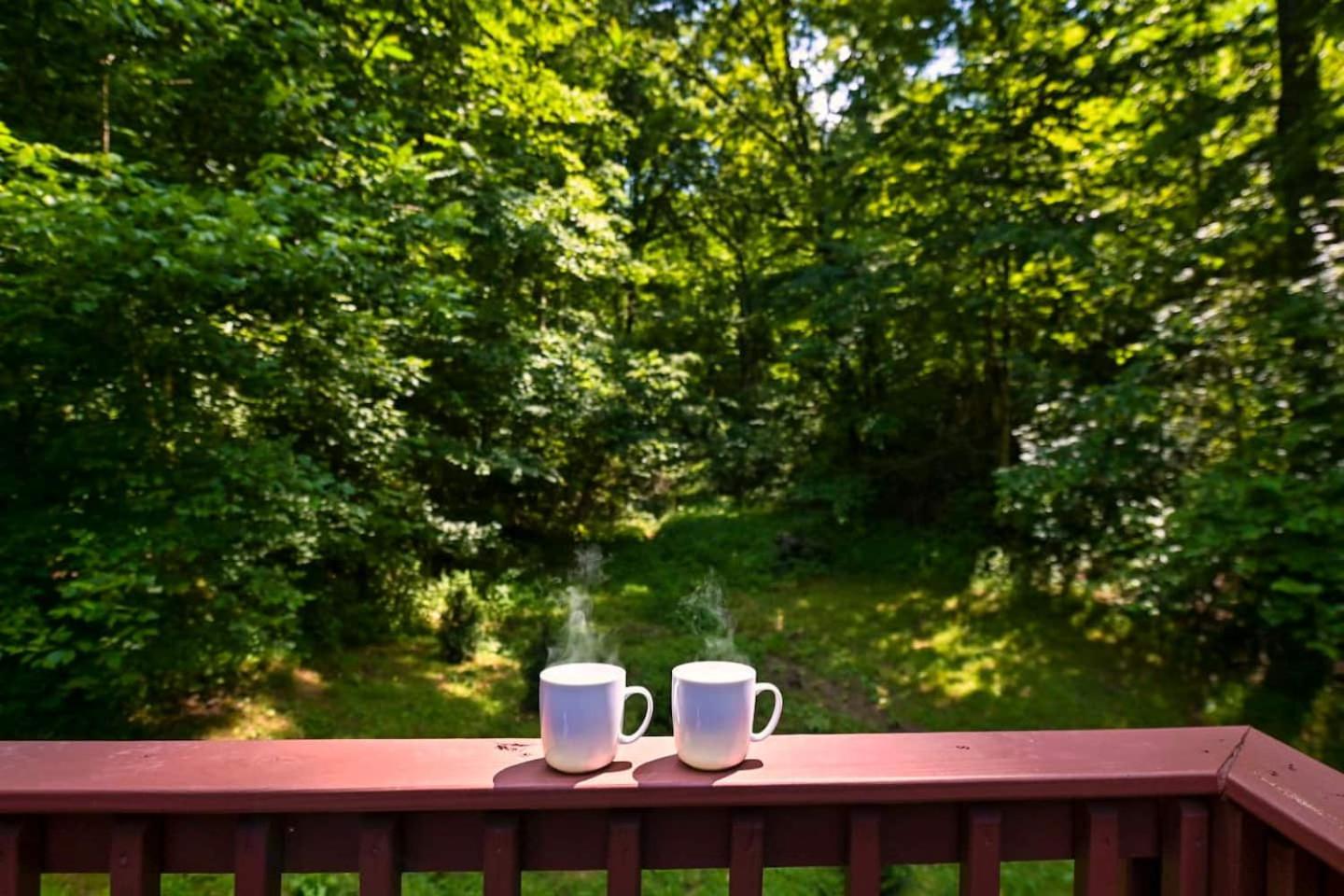 Smoky Mountains Hut Tub Dog Friendly Sevierville